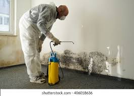 Mold Remediation for Rental Properties in North Oaks, MN